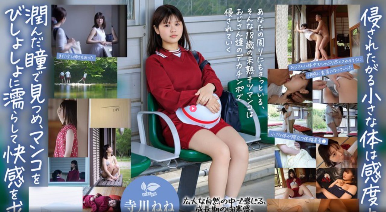 先锋影音2020av资源,メイリン モデルコレクション メ,观看免费无删减完整版高清在线观看